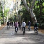 Seville: 1-Day Bike Rental - The Route and Exploration Potential
