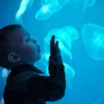 Seville Aquarium Admission Ticket - What You’ll See & Experience