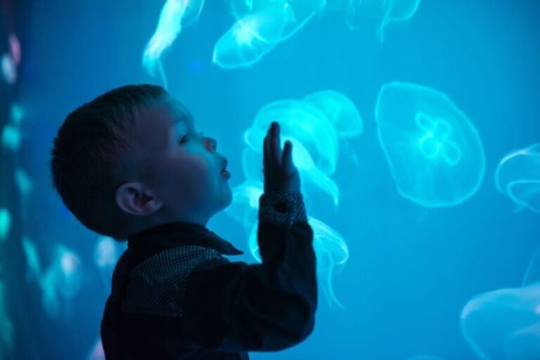 Seville Aquarium Admission Ticket - What You’ll See & Experience