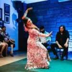 Seville: Baraka Sala Flamenca Show with Drink in Triana - The Value for Money