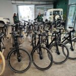 Seville: Bike Rental - What to Expect When You Rent a Bike in Seville