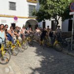 Seville: Bike Rental for a Day - Final Thoughts: Who Will Love This?