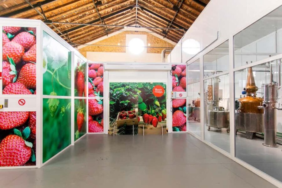 Seville, Carmona: Puerto de Indias Distillery tour with gin tasting - Who Is This Tour Best For?