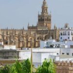 Seville Cathedral & Giralda Private Tour including tickets - The Highlights of the Tour