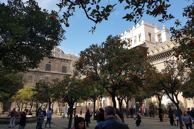 Seville Cathedral Tour including tickets and skip the line entry - The Highlights: What You’ll See and Experience