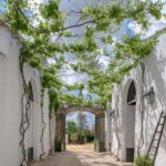 Seville: Check out Bodegas Góngora - The Guided Tour: Insight and Atmosphere