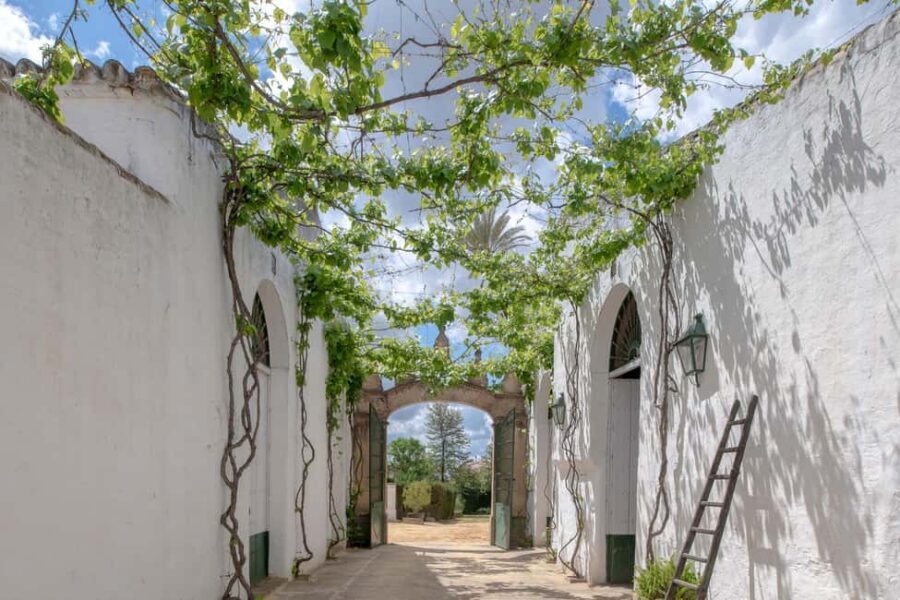 Seville: Check out Bodegas Góngora - The Guided Tour: Insight and Atmosphere