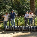 Seville City Tour: 3-Hour Historical Segway Adventure - The Itinerary: What to Expect at Each Stop