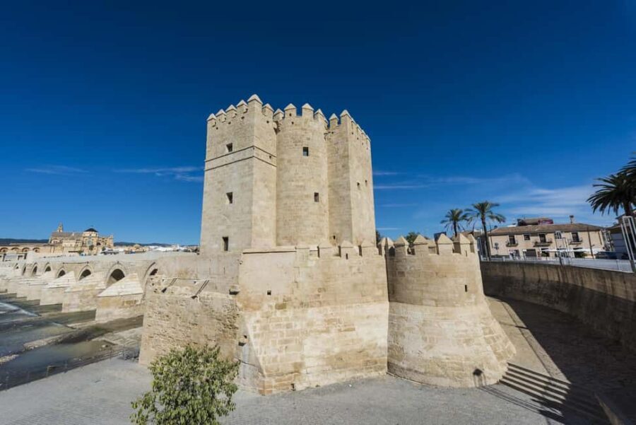 Seville: Cordoba Private & Fully Customizable Day Trip - The Experience: What to Expect on Your Day Trip to Cordoba