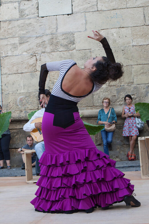 Seville: Enjoy a class of approach to flamenco - What to Expect During the Session