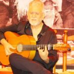 Seville: Flamenco Show & Cocktail Experience - What You Can Expect During the Experience