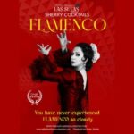 Seville: Flamenco Show Ticket at Tablao Flamenco Las Setas - What to Expect During the Show