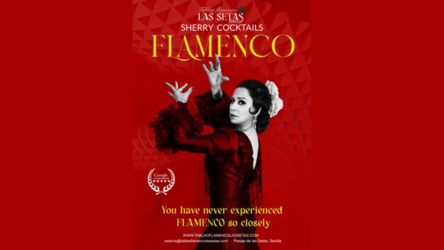 Seville: Flamenco Show Ticket at Tablao Flamenco Las Setas - What to Expect During the Show