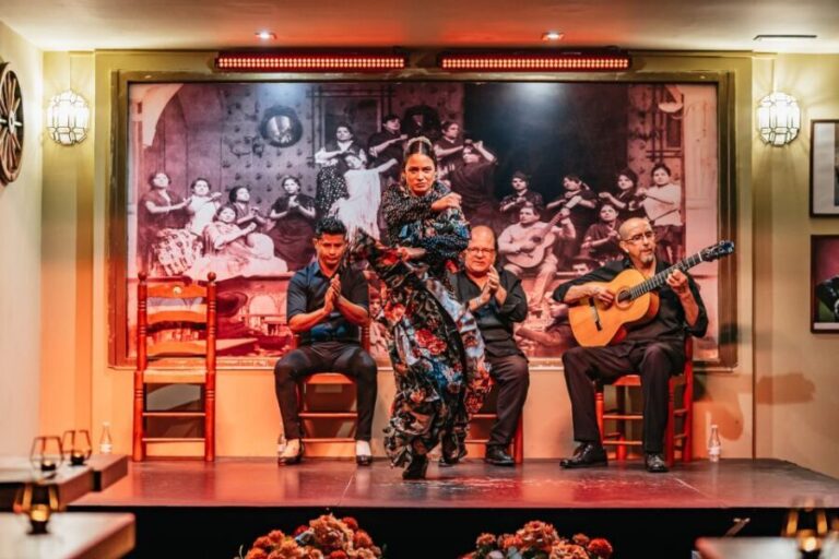 Seville: Flamenco Show with Andalusian Dinner at La Cantaora - The Practical Details