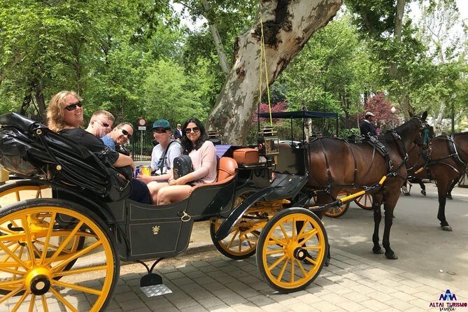 Seville Guided Horse Carriage Private Tour - FAQs