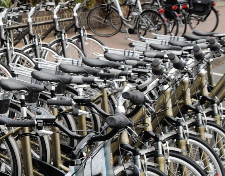 Seville: Guided Tour by Electric Bike - What We Love and What to Keep in Mind