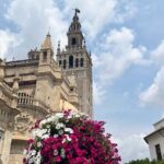 Seville Highlights Private Walking Tour - The Itinerary: What You’ll See and Experience