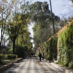 Seville Jewish Heritage Tour - What to Expect from the Tour