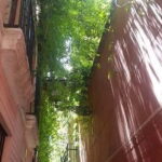 Seville: Jewish Quarter, History & Hidden Corners - An Honest Breakdown of the Experience