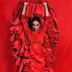 Seville: Live Flamenco Dancing Show Ticket at the Theater - The Value of the Ticket