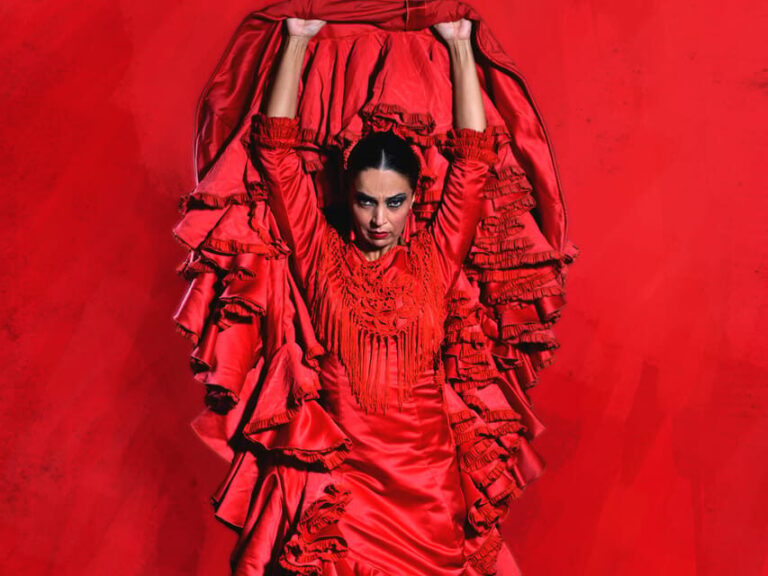 Seville: Live Flamenco Dancing Show Ticket at the Theater - The Value of the Ticket