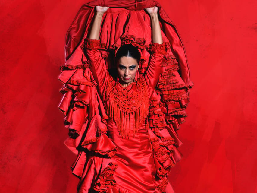 Seville: Live Flamenco Dancing Show Ticket at the Theater - The Value of the Ticket