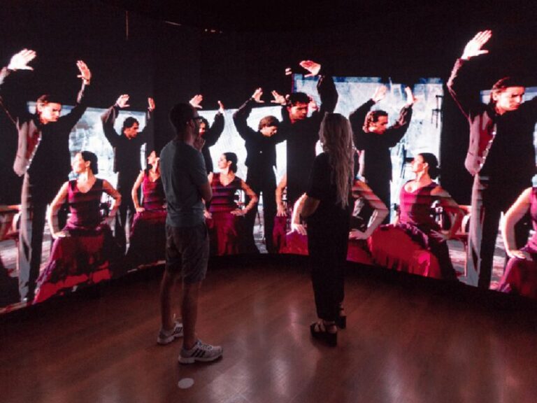 Seville: Museum of Flamenco Dance Admission Ticket - Exploring the Museum: What You Can Expect