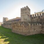 Seville: Palacio de Las Dueñas, La Macarena & Las Setas Tour - Practical Insights