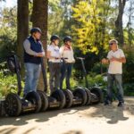 Seville: Panoramic Segway Shared or Private Tour - The Practical Side: Group Size, Duration, and Cost