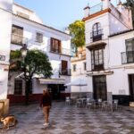 Seville: Santa Cruz Old Jewish Quarter Walking Tour - The Practical Side: Price, Duration, and Accessibility
