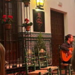 Seville: Tapas and Flamenco Tour with Local Guide - Is This Tour Right for You?