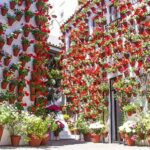 Seville: Tour to Cordoba and Mosque Cathedral - The Itinerary: A Deep Dive