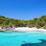 Shared boat excursion Half day - The Benefits of an Intimate Group