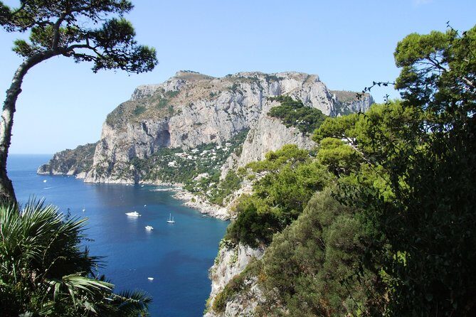 Shared Capri & Anacapri Full-Day Tour from Sorrento - What Do Travelers Say?