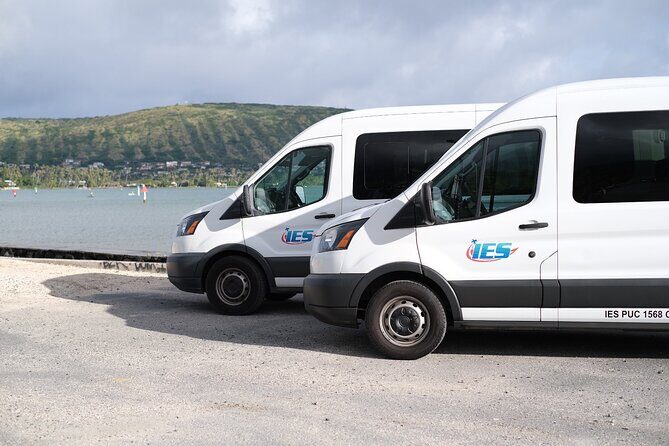Shared Departure Transfer from Waikiki Hotels to Honolulu Airport - The Experience at the Airport