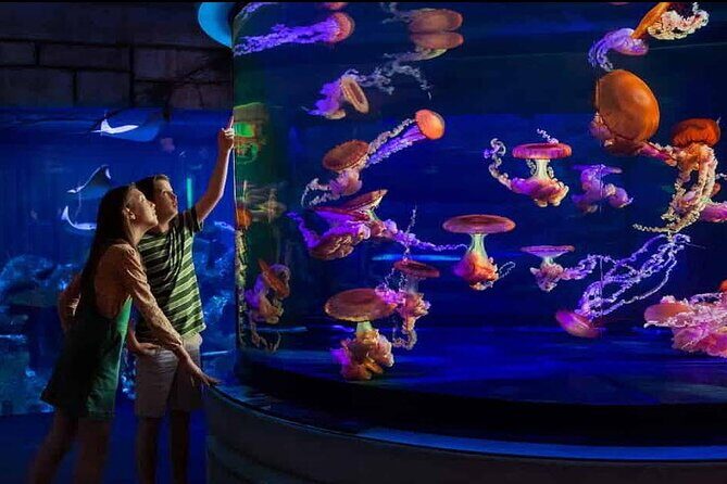 Shark Reef at Mandalay Bay Hotel and Casino - The Itinerary in Detail