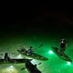 Sharkey's Glass Bottom Fish Feeding LED Night Tour in Clearwater - The Pros and Cons Based on Real Experiences