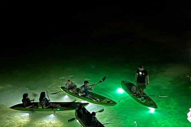 Sharkey's Glass Bottom Fish Feeding LED Night Tour in Clearwater - The Pros and Cons Based on Real Experiences