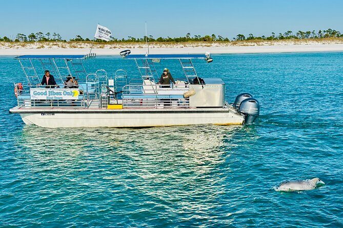 Shell Island Dolphin Sightseeing Boat Tour in Panama City Beach - Practical Details and What You Should Know