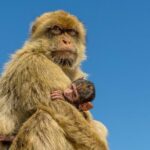 SHORE EXCURSION 3.30hrs Half Day Tour - Who Should Consider This Tour?