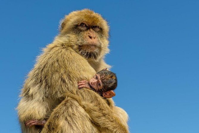 SHORE EXCURSION 3.30hrs Half Day Tour - Who Should Consider This Tour?