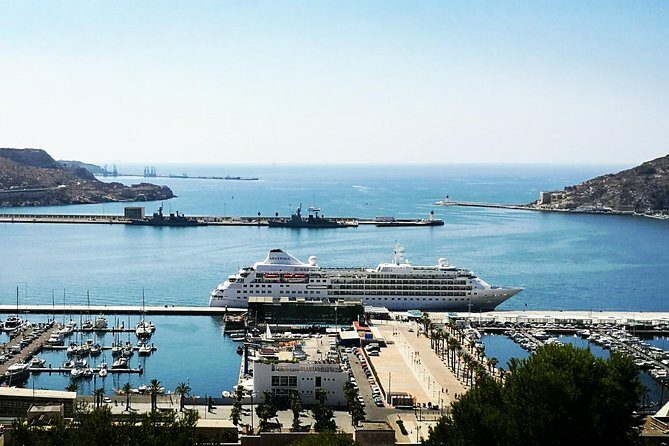 Shore Excursion: Cartagena Half-Day Private Tour - Who Should Book This Tour?