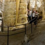 Shore Excursion to Postojna Cave - Slovenia's famous attraction - Who Would Love This Tour?