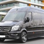 Shore Excursions: 3 Hours Easy Ephesus Tour - The Highlights of Ephesus and Artemis Temple