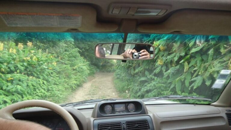 Shore Excursions from Ponta Delgada - What to Expect During the Tour