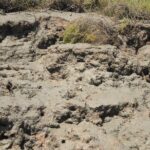 Short boat trip of the Algarve's Ria Formosa lagoon from Faro: 1 hour - The Itinerary in Detail: What to Expect