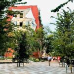 Show me the City! A Small Group Walking Tour of Toronto - How Do Travelers Feel About This Tour?