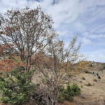 Shtegu i Vakëfëve (Trail of Holly Lands) - What Makes This Tour Stand Out?