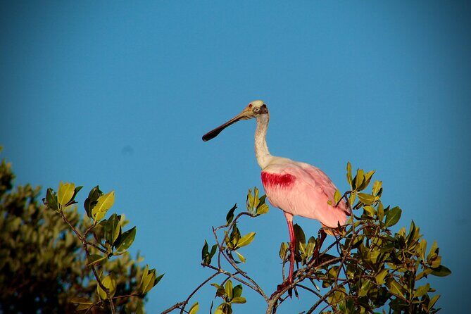 Sian Kaan Sunset Private boat. - Who Should Consider This Tour?