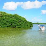 Sian Ka'an Trip from Playa del Carmen & Tulum - Who Should Consider This Tour?